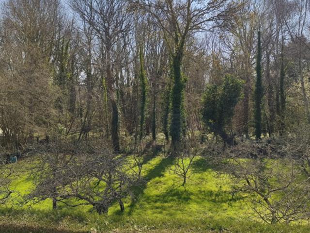 À VENDRE Maison contemporaine 121 m2 Saint Briac sur M