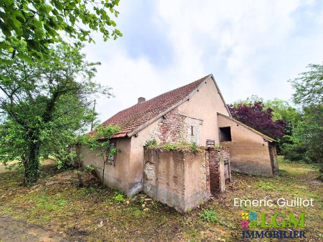 À vendre – Maison à rénover Grand Garage Grange Greniers Grand Terrain arboré à Écoman 41290