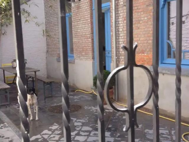 à vendre Maison Anvers Lange stuivenbergstraat