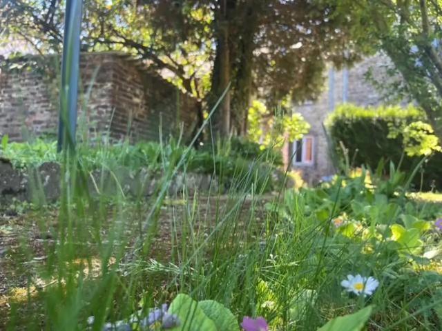 à vendre Maison Andenne Chaussée Moncheur