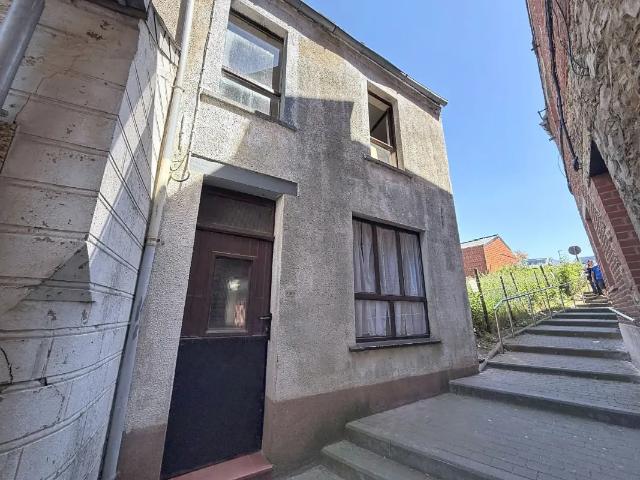 à vendre Maison Anderlues Ruelle du Facteur