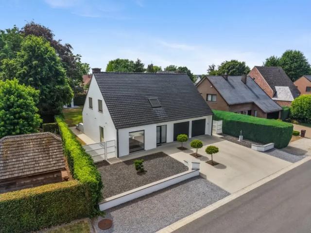 à vendre Maison Alken Kastanjelaan