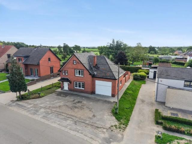 à vendre Maison Alken Pleinstraat
