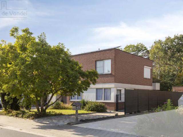 à vendre Maison Alost Beukendreef