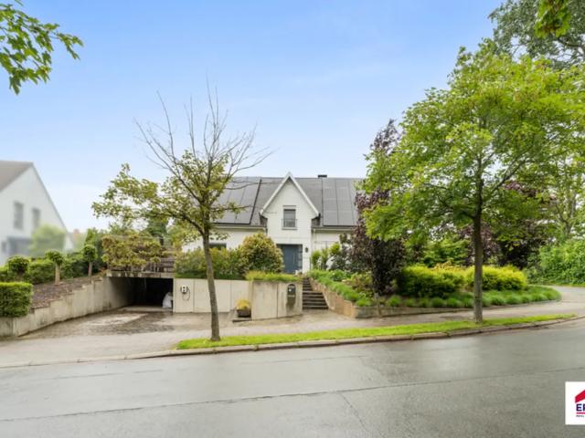 à vendre Maison Asse Witteramsdal