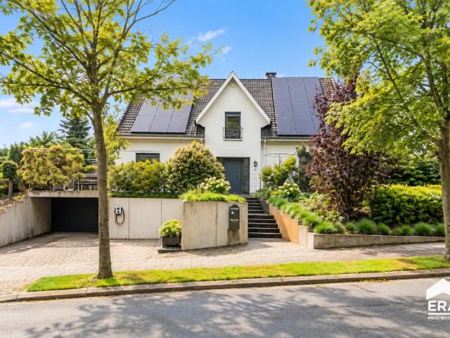 à vendre Maison Asse Witteramsdal