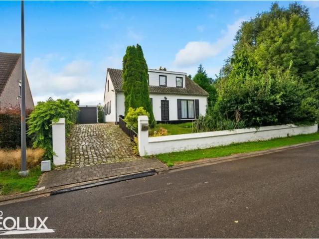 à vendre Maison Asse Anjelierenlaan