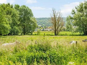 à vendre Maison Avelgem Waterhoek