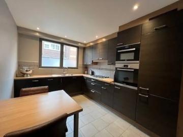 2850, Arrondissement de Anvers, Province de Anvers, Flandre