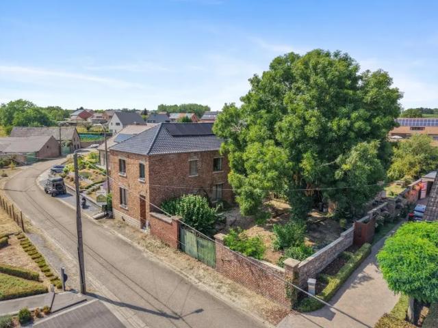 à vendre Maison Borgloon Martinusstraat