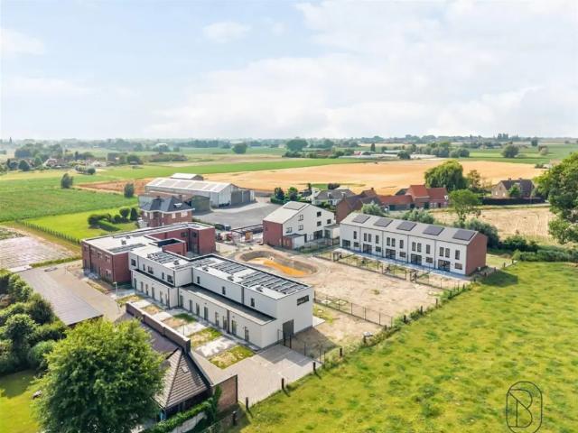 à vendre Maison Bavikhove Eerste Aardstraat