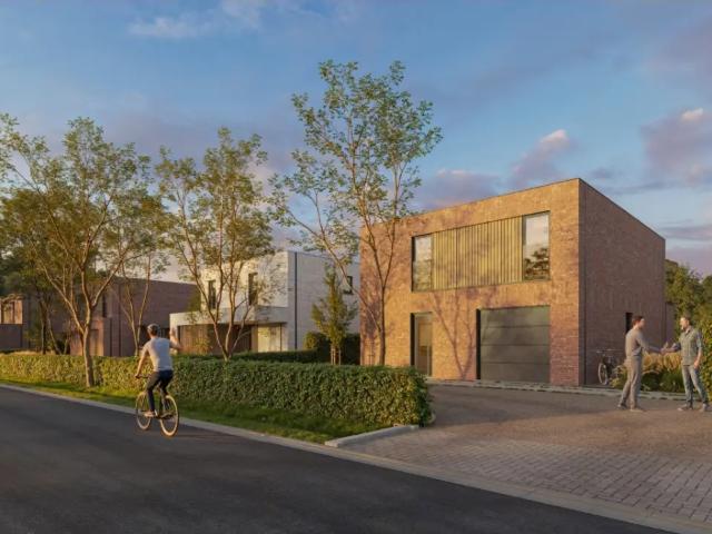 à vendre Maison Beveren Bergmolenstraat