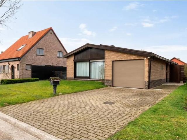 à vendre Maison Beerse Kardinaal Cardijnlaan
