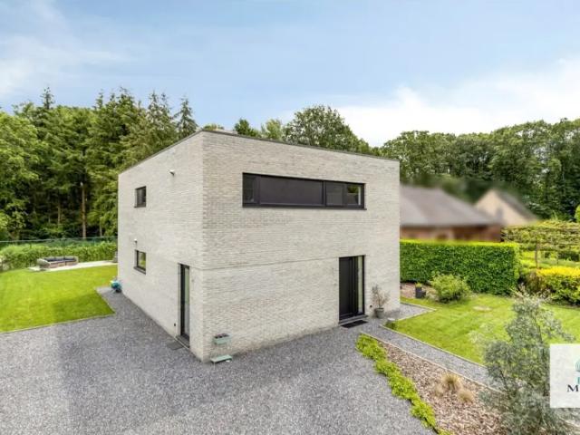 à vendre Maison Begijnendijk Vijversstraat
