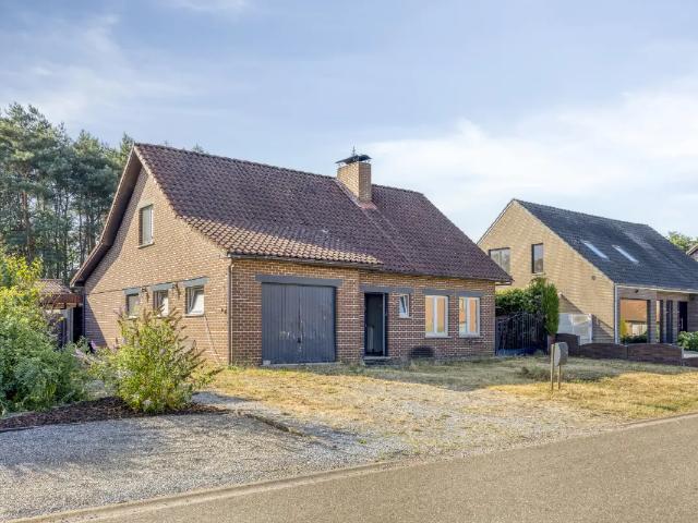 à vendre Maison Beringen Grensstraat