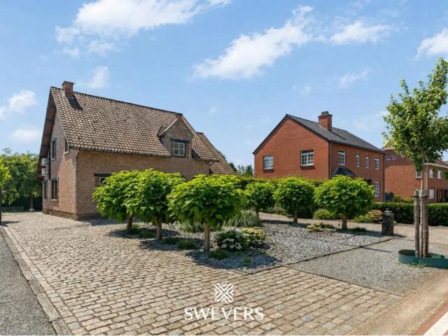 à vendre Maison Beringen Hasseltsesteenweg