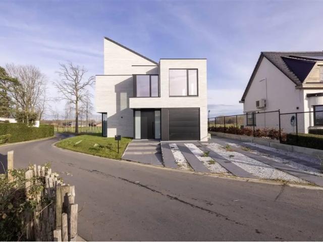 à vendre Maison Berlaar Netekant