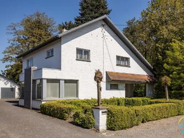 à vendre Maison Berlare Zandstraat