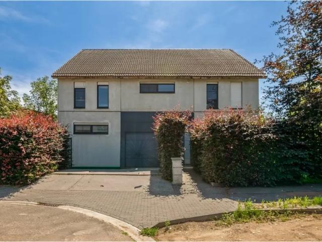 à vendre Maison Blaasveld Herman De Cuyperstraat