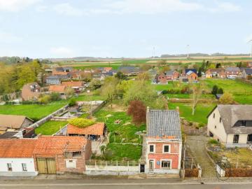 Brunehaut 
