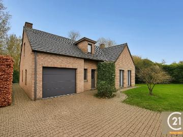 1440, Brabant wallon, Wallonie - Kelder