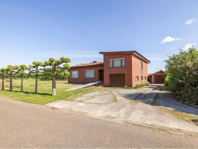 à vendre Maison Geel Molderbeemdendijk