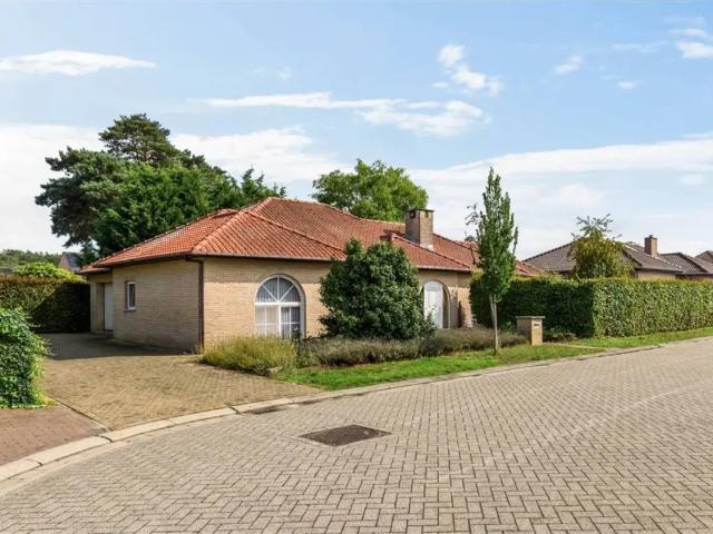 à vendre Maison Grobbendonk Tumulusveld