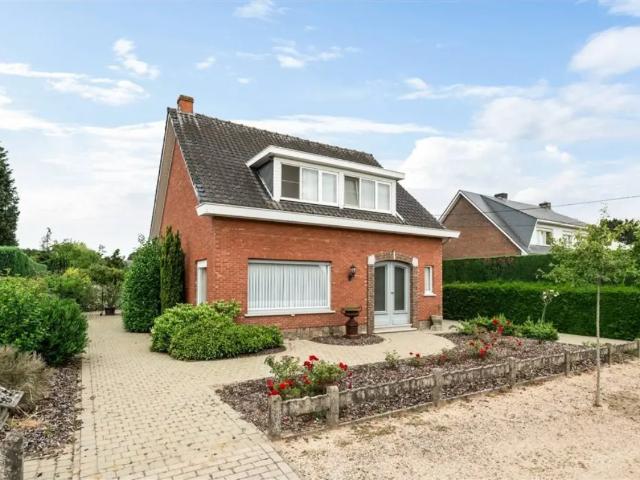 à vendre Maison Grobbendonk Van Craeyenhemstraat