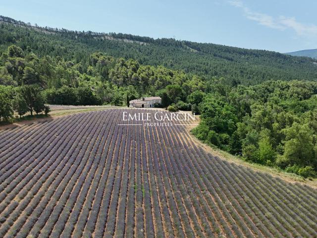 A vendre Maison de caractère Entre le Luberon et la Haut. 300m² Céreste en Luberon