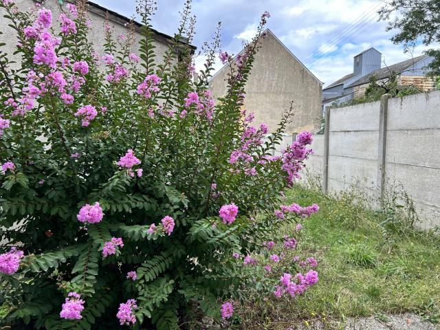 A VENDRE Spacieuse maison à Saint Gaultier