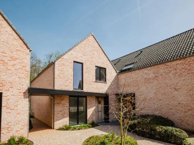 à vendre Maison Dikkelvenne Kerkstraat
