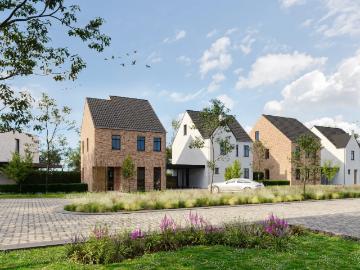 3630, Maasmechelen, Arrondissement de Tongres, Flandre