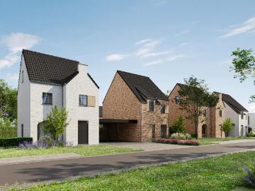 3630, Maasmechelen, Arrondissement de Tongres, Flandre