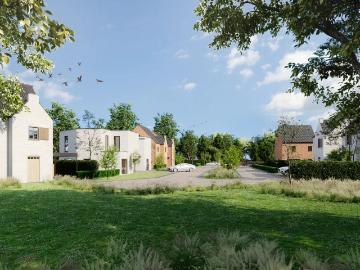 3630, Maasmechelen, Arrondissement de Tongres, Flandre