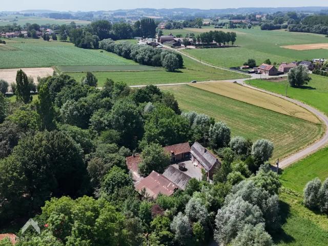 à vendre Maison Ellezelles Bracles