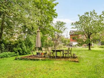 à vendre Maison Ellezelles Chaussée de Ninove