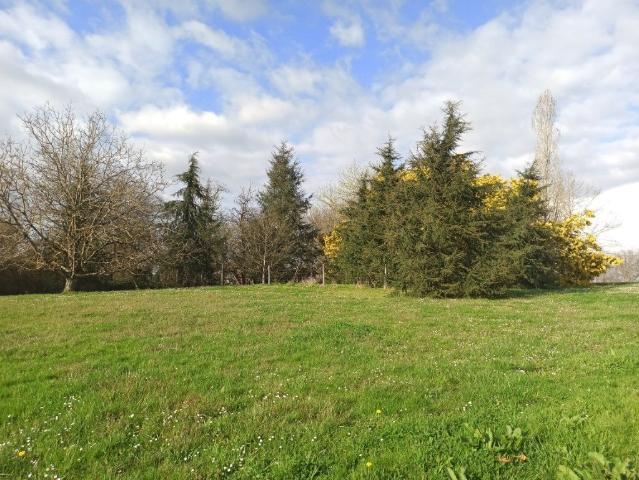 A vendre | Maison et terres | Laujuzan Gers 32 160m² Laujuzan