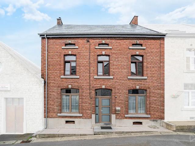 à vendre Maison Frasnes Rue de Mariembourg