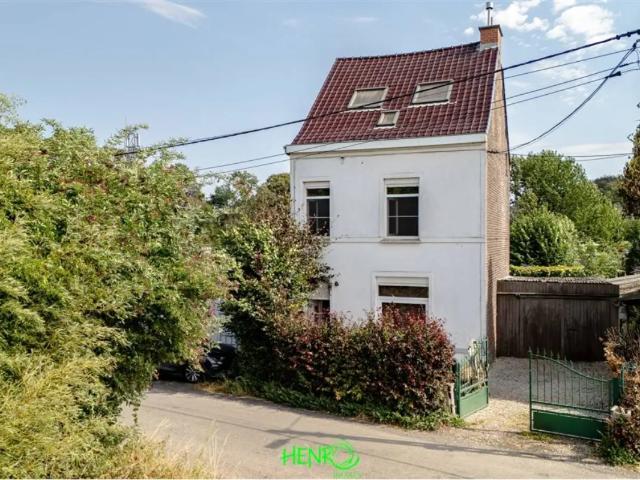 à vendre Maison Froyennes