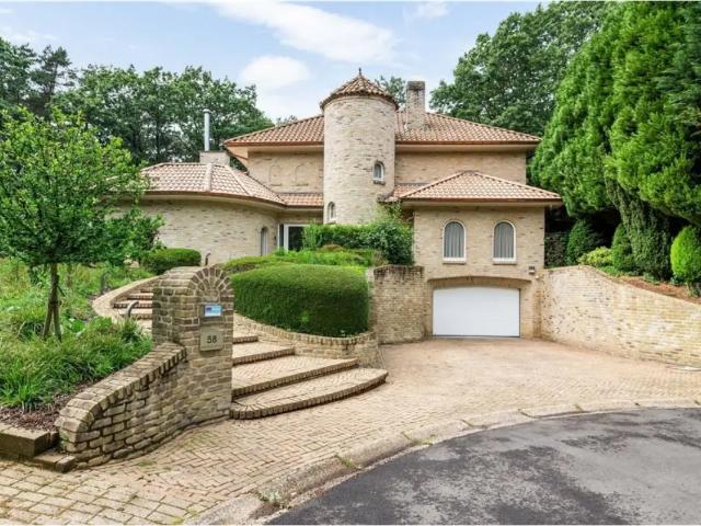 à vendre Maison Kasterlee Olmenlaan