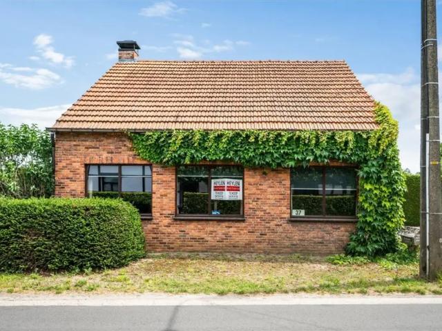 à vendre Maison Kasterlee Houtum