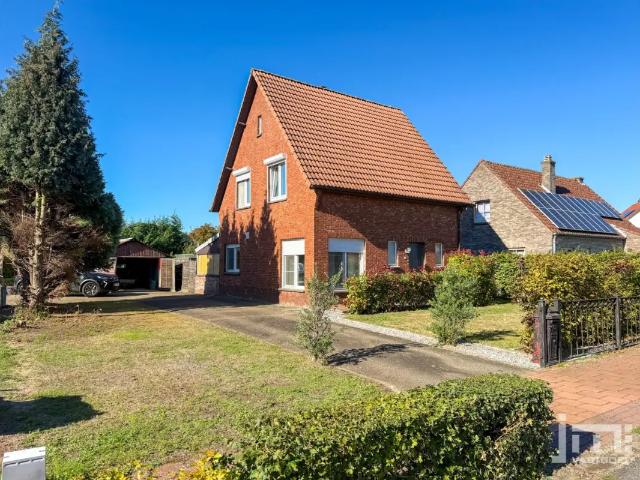 à vendre Maison Houthalen Helchteren Anjelierenstraat