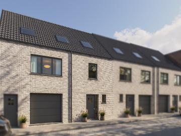 2620, Arrondissement de Anvers, Province de Anvers, Flandre