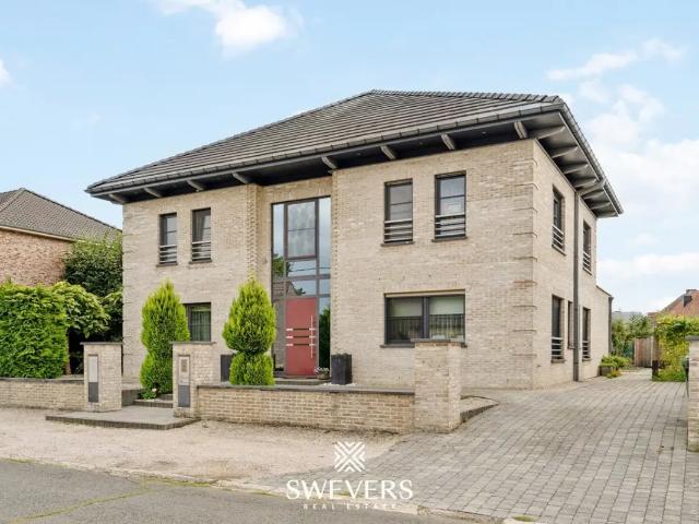 à vendre Maison Heppen Zavelstraat