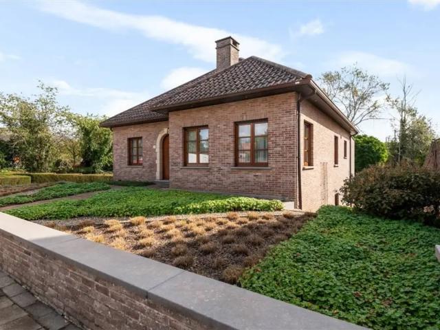 à vendre Maison Herentals IJzergieterijstraat