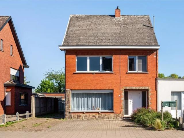 à vendre Maison Herenthout Bergense Steenweg