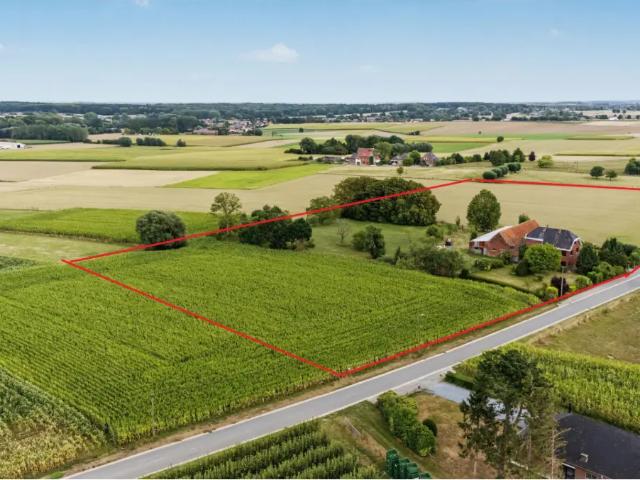 à vendre Maison Herfelingen