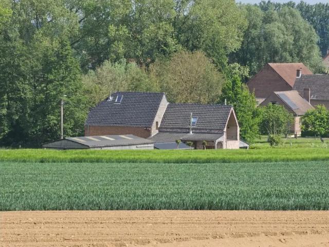 à vendre Maison Herne