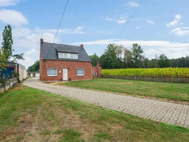 à vendre Maison Herselt Dellenweg