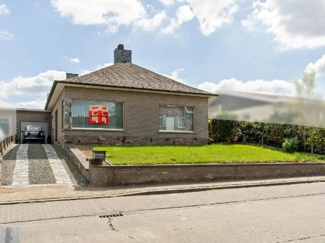 à vendre Maison Herzele Hoogstraat